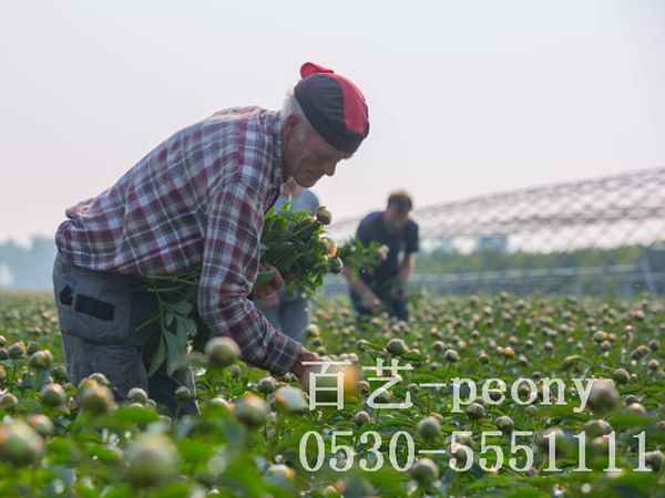 國(guó)外合作農(nóng)場(chǎng)