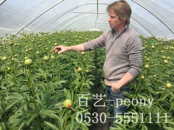 國(guó)外合作伙伴